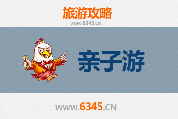 海南亲子游全攻略：带娃玩转阳光沙滩与热带雨林